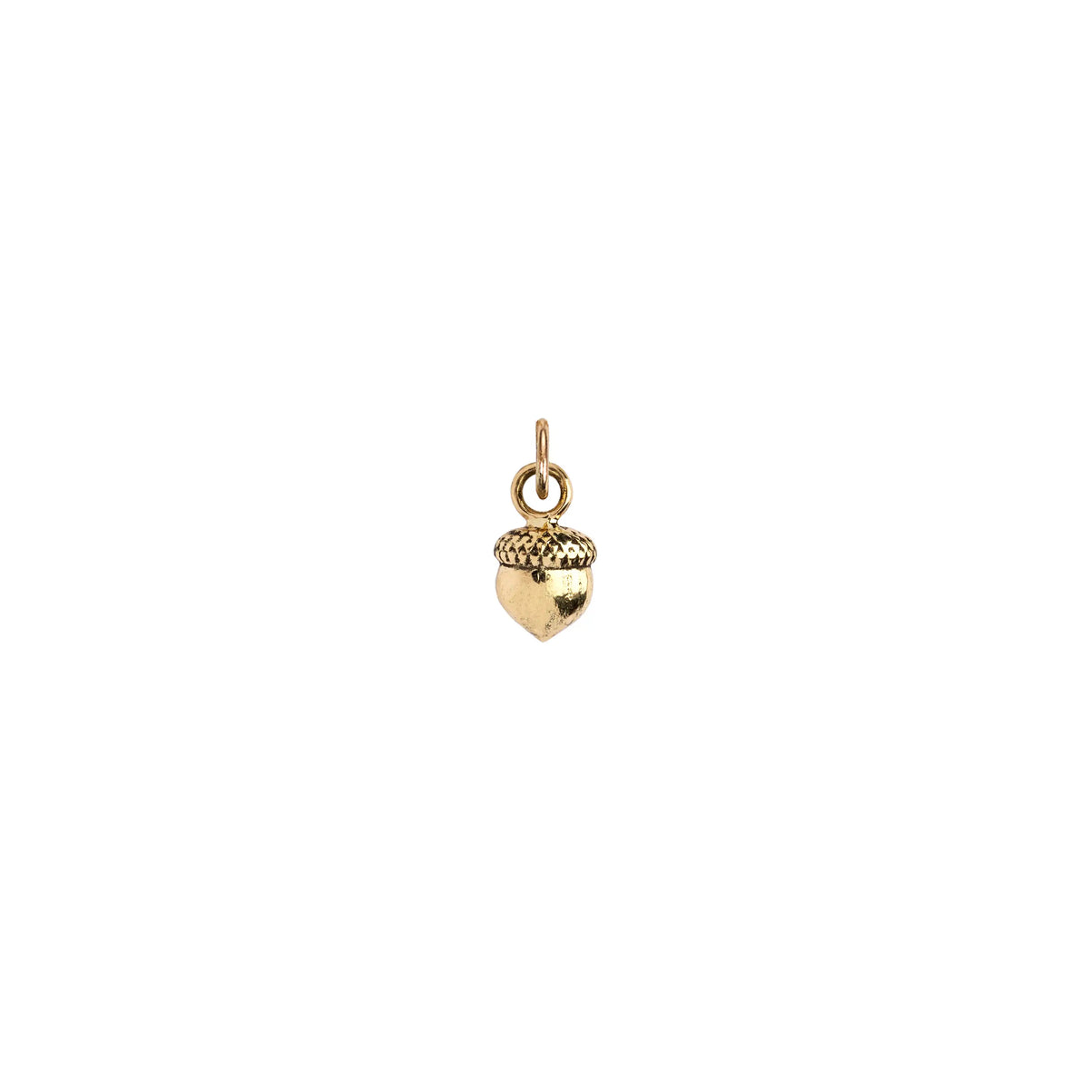Acorn 14K Gold Symbol Charm