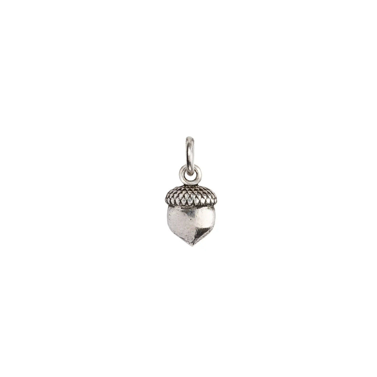 Acorn Symbol Charm