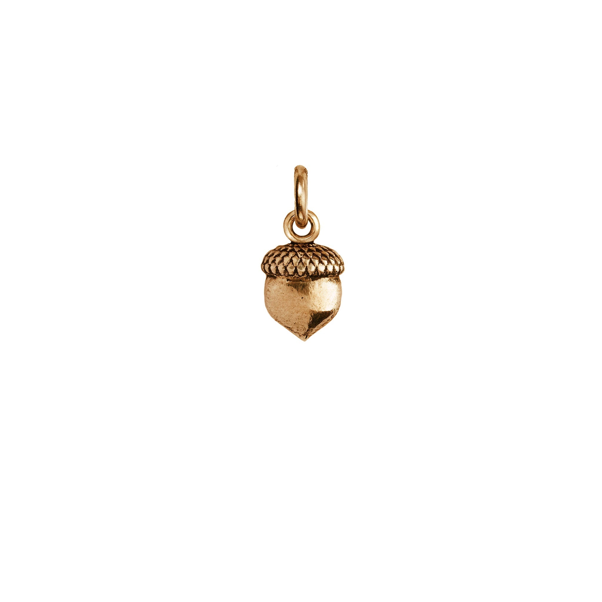 Acorn Symbol Charm - Bronze