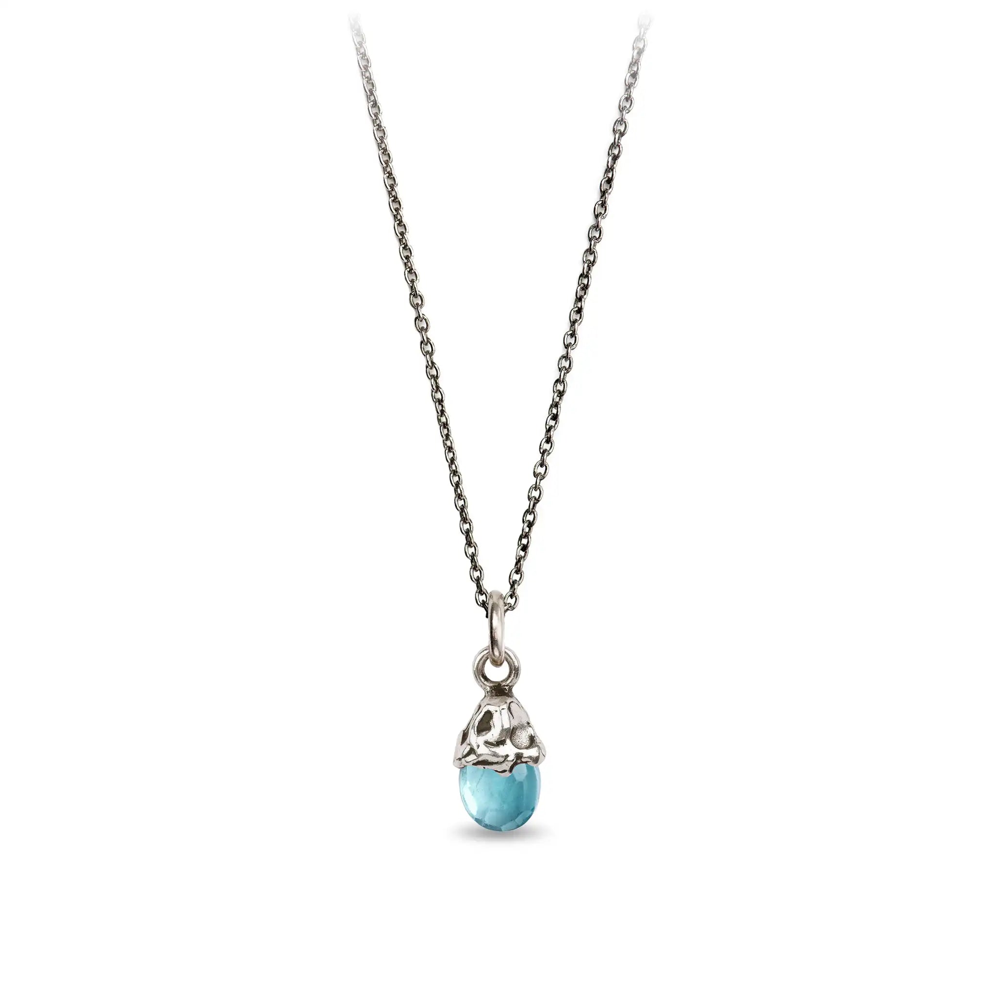 Family Capped Attraction Charm
