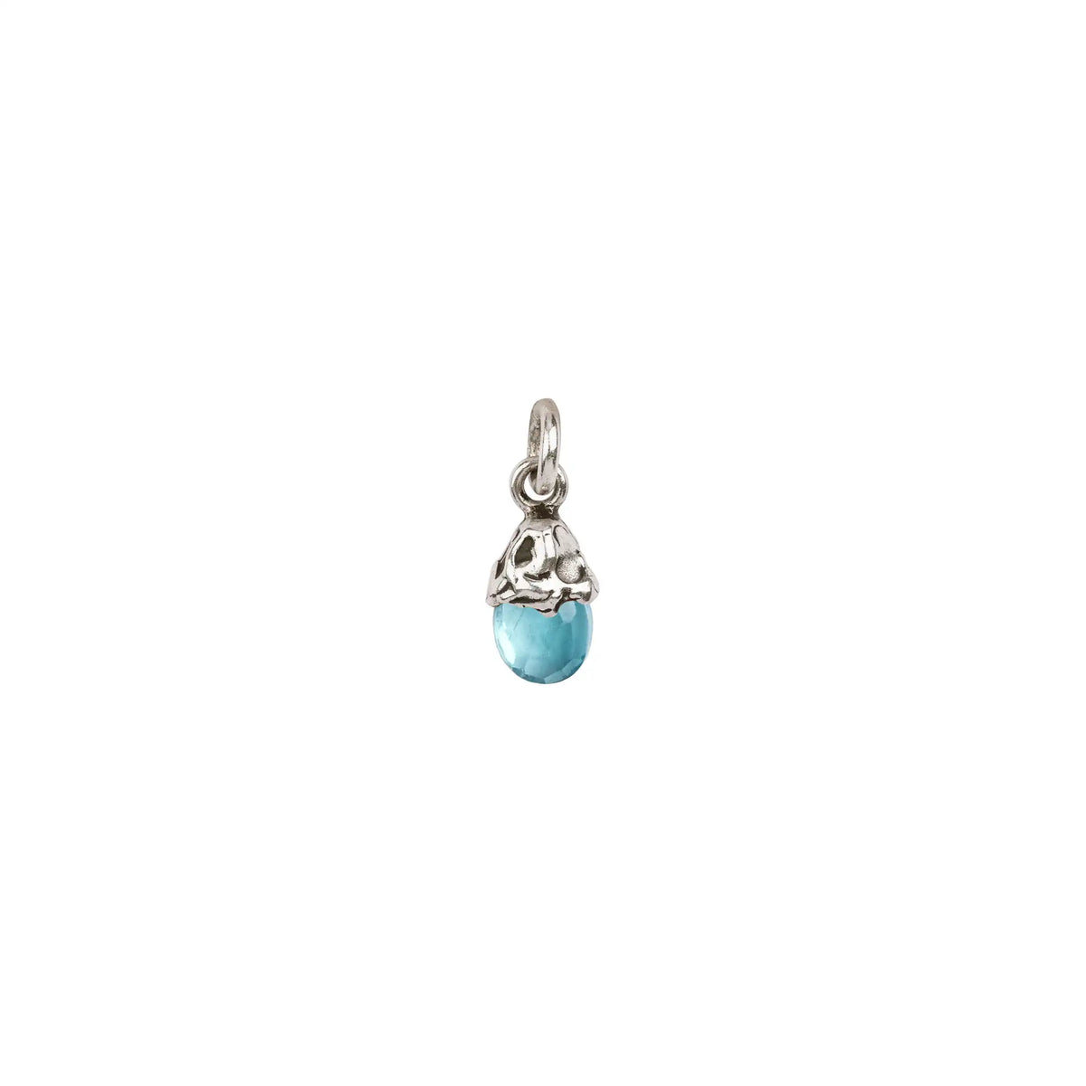 Family Capped Attraction Charm