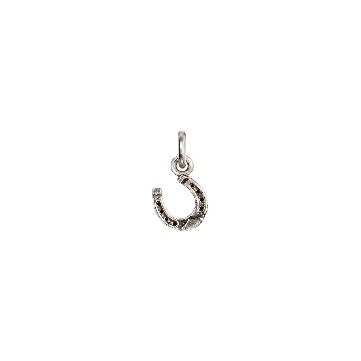 Horseshoe Symbol Charm