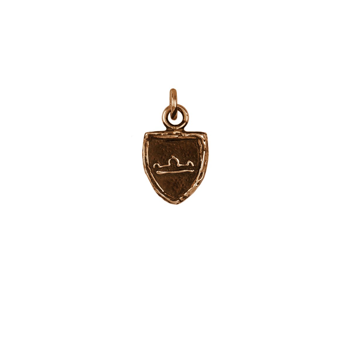 Capricorn Zodiac Charm