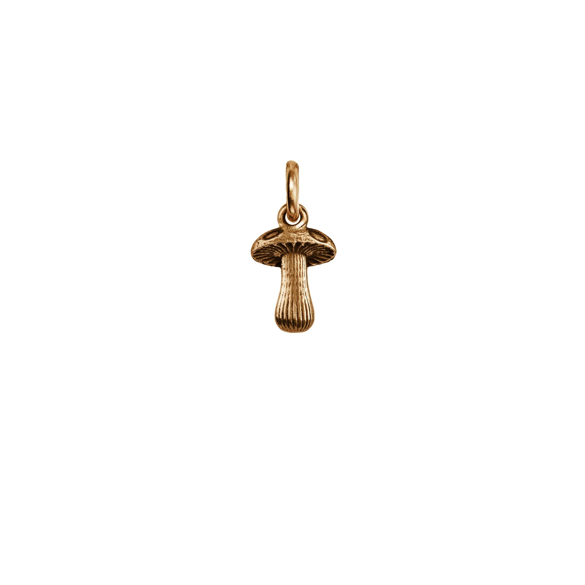 Mushroom Symbol Charm - Bronze
