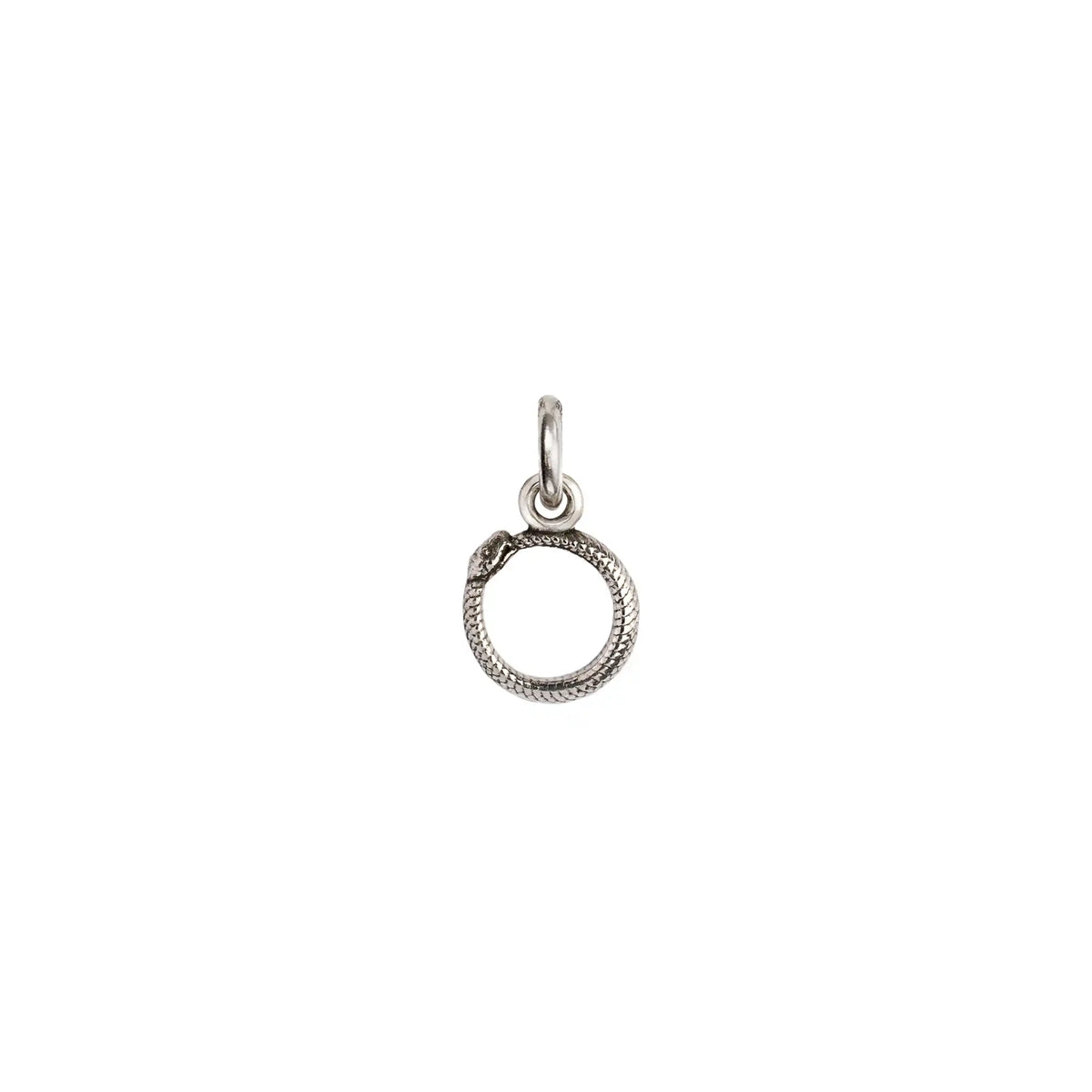Ouroboros Symbol Charm