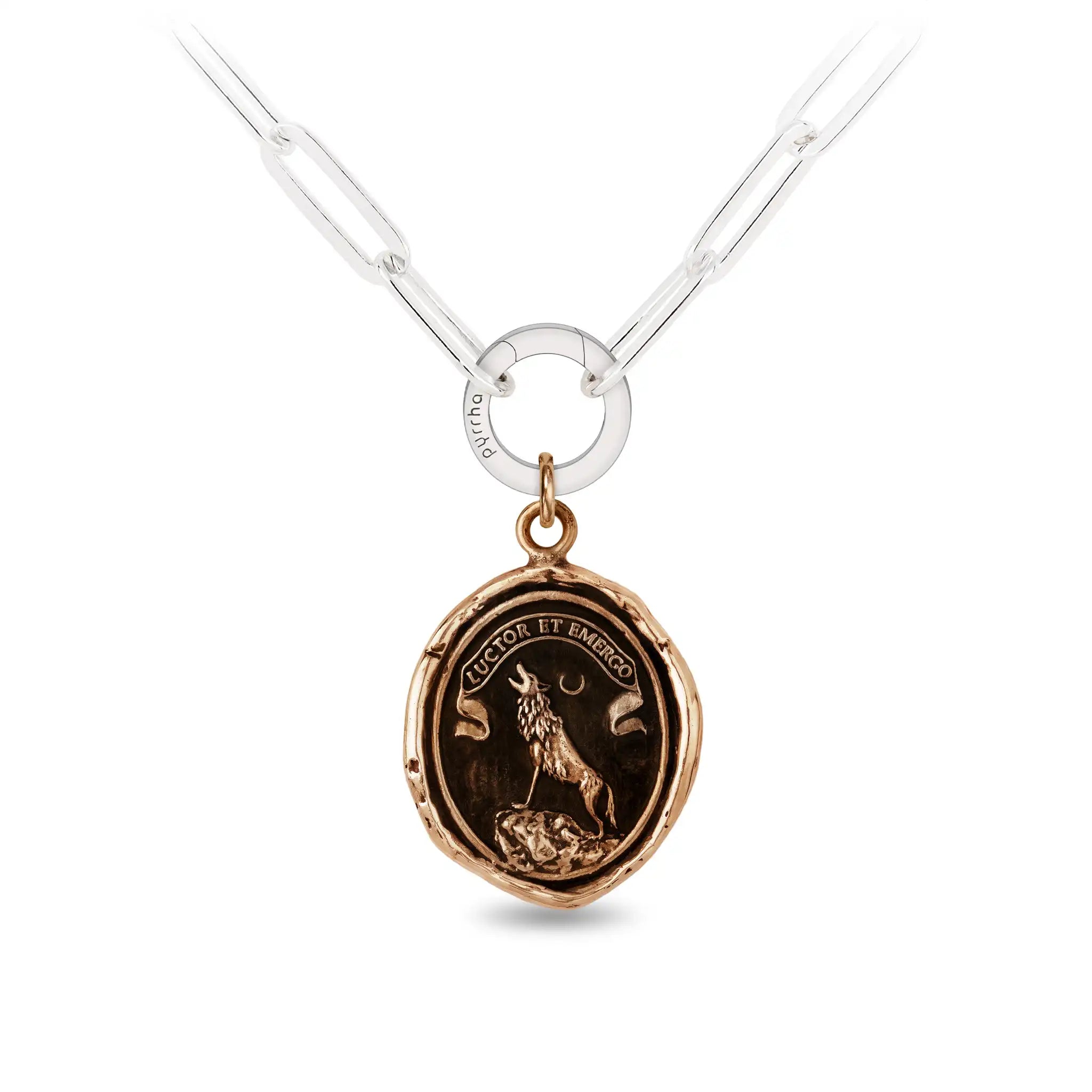 Struggle and Emerge - Bronze