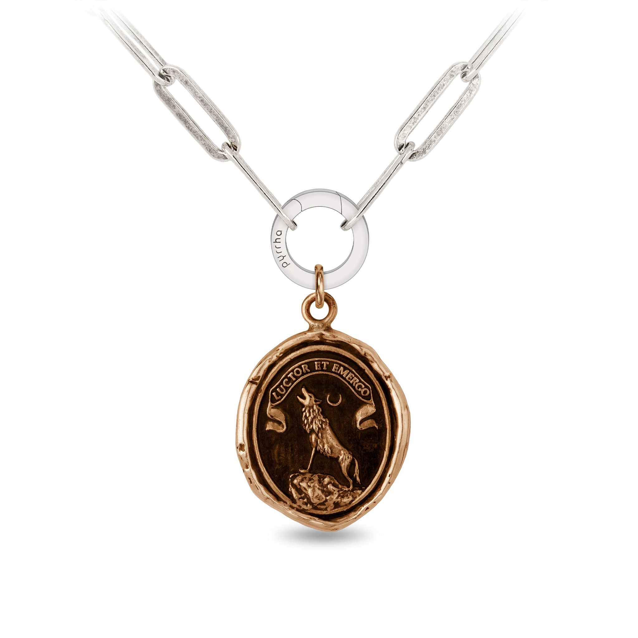 Struggle and Emerge - Bronze