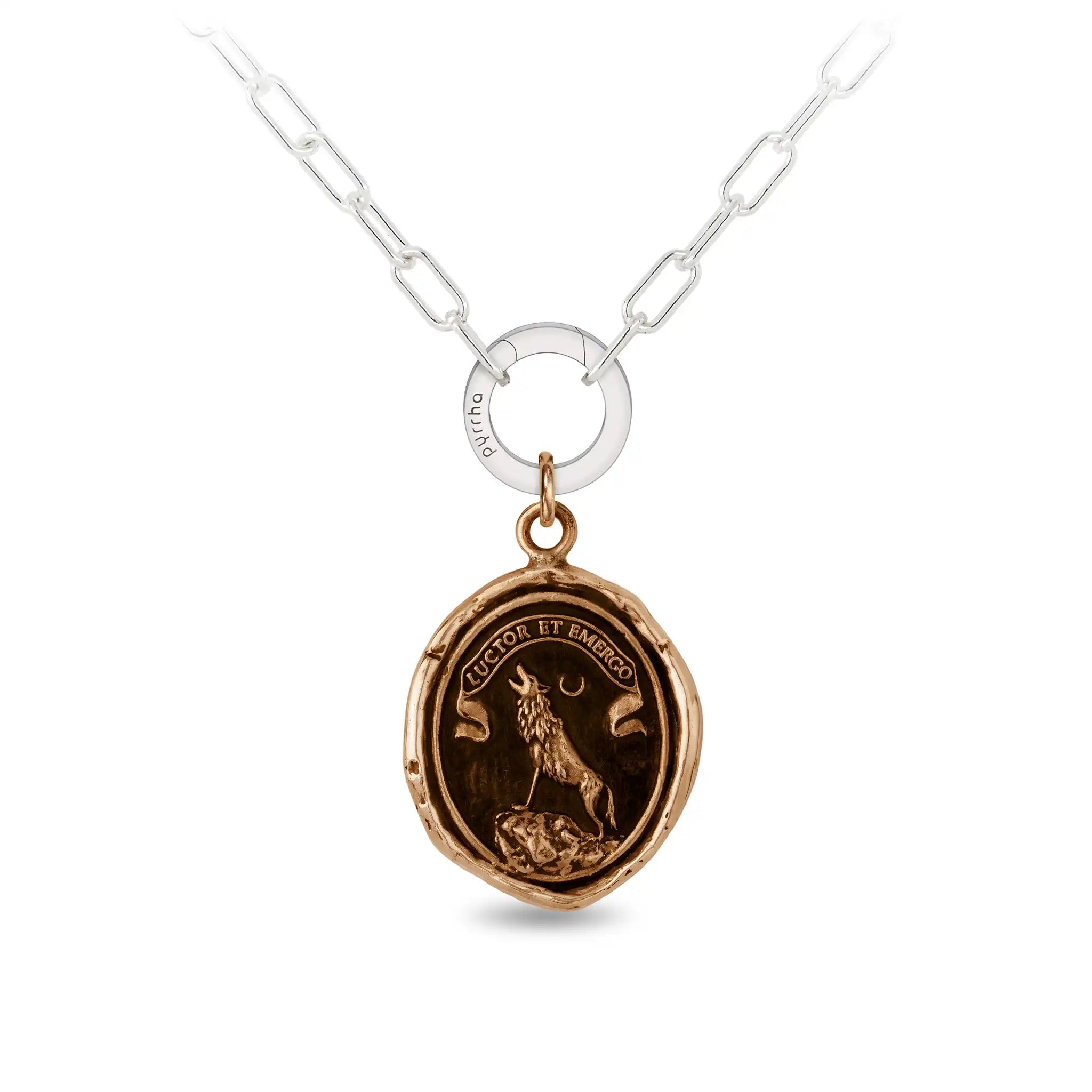 Struggle and Emerge - Bronze