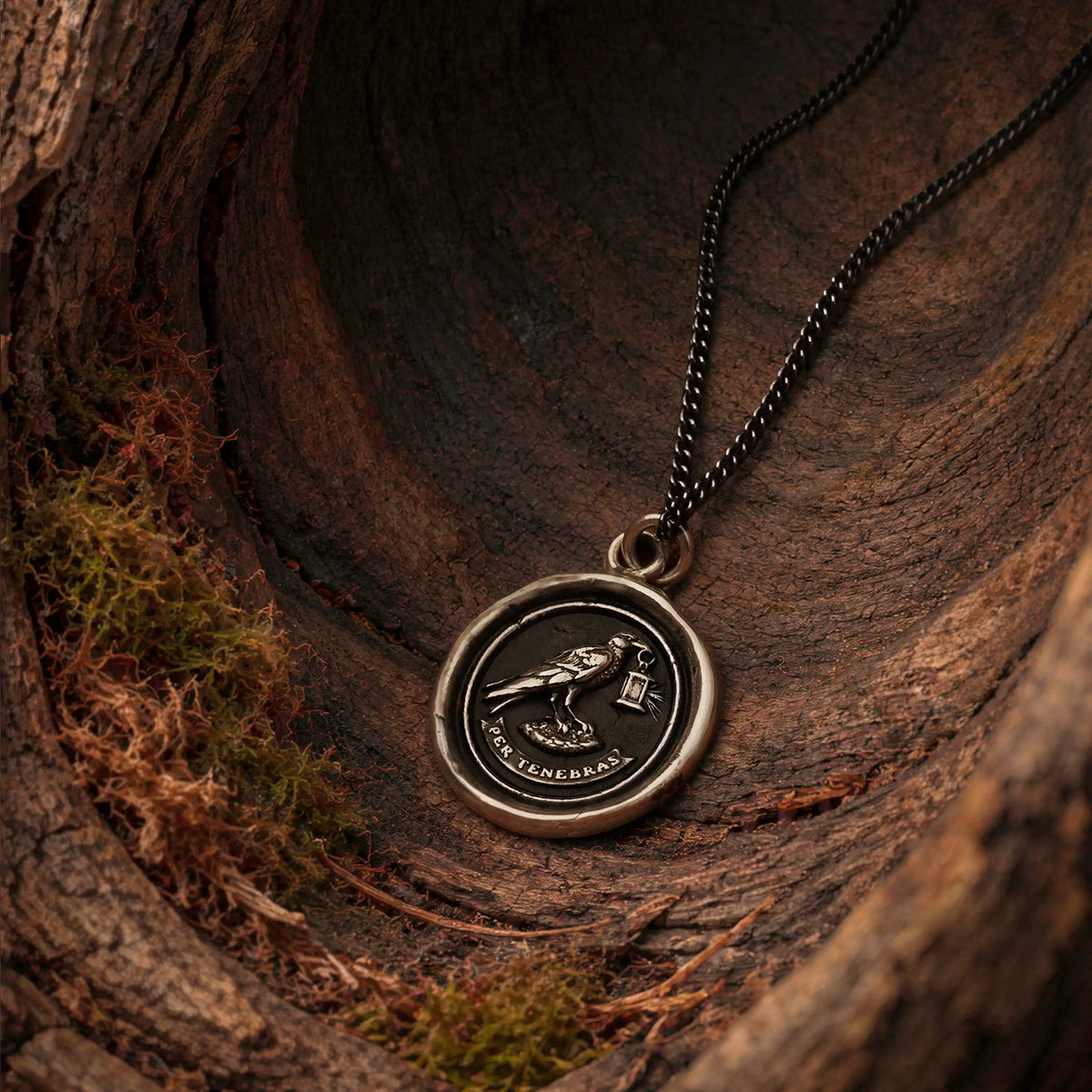 Through Darkness - Bronze