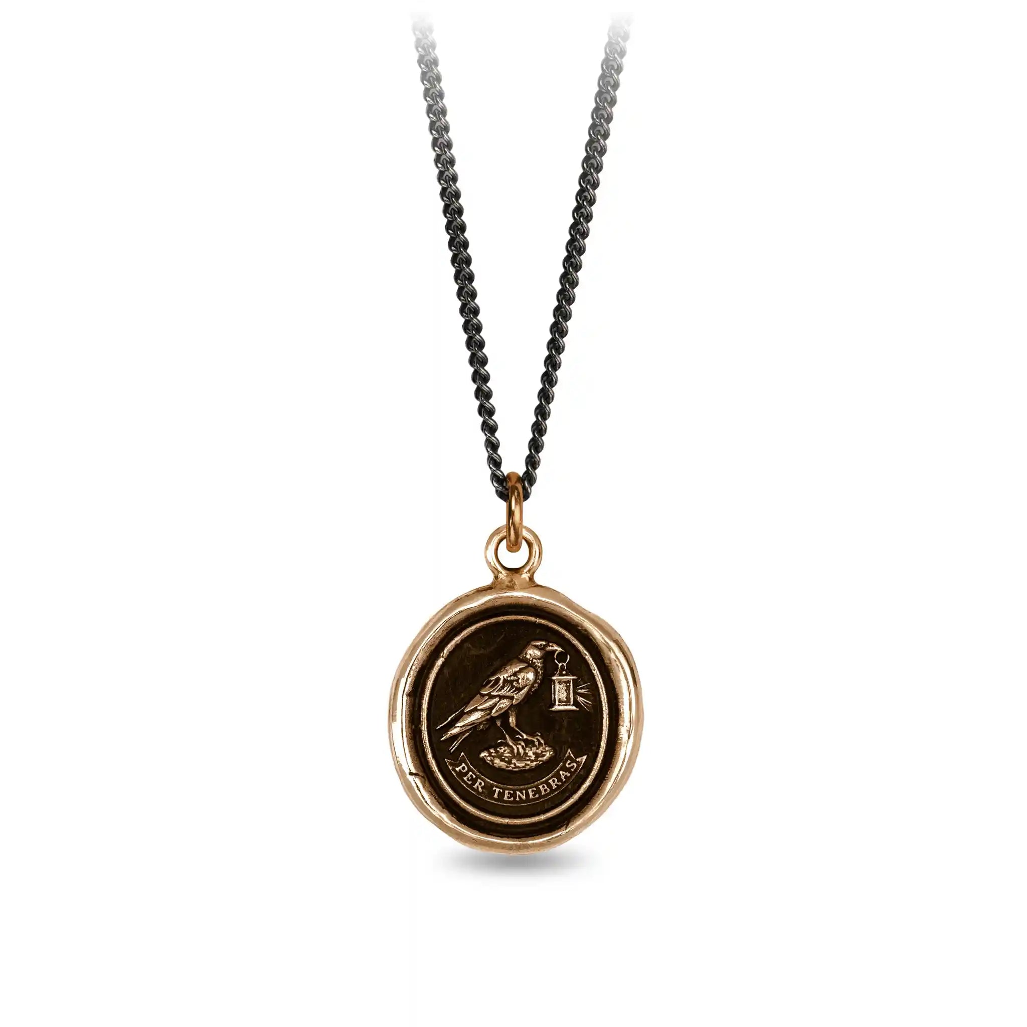 Through Darkness - Bronze