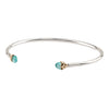 Family Capped Attraction Charm Open Bangle