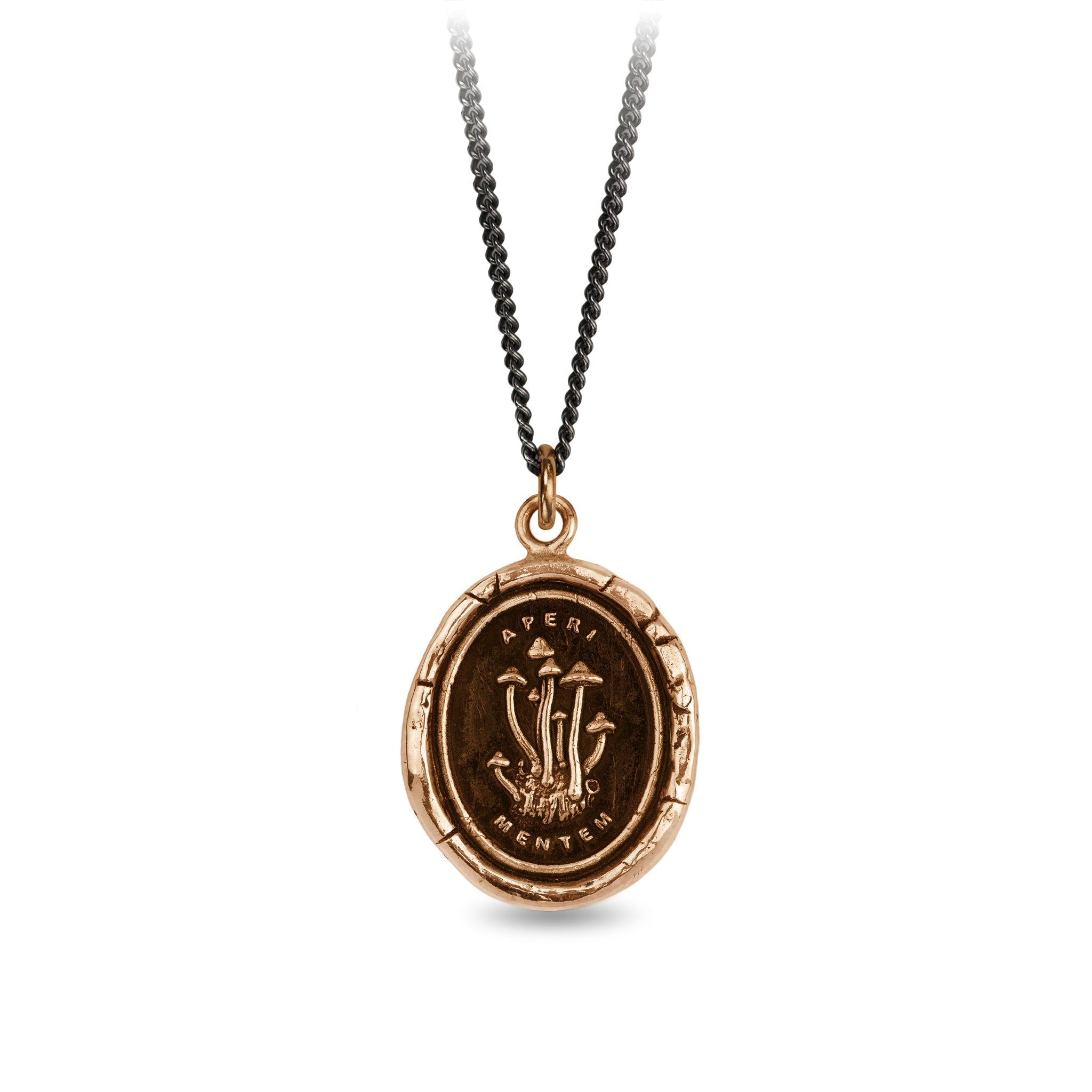 Pyrrha Open Your Mind Talisman Necklace