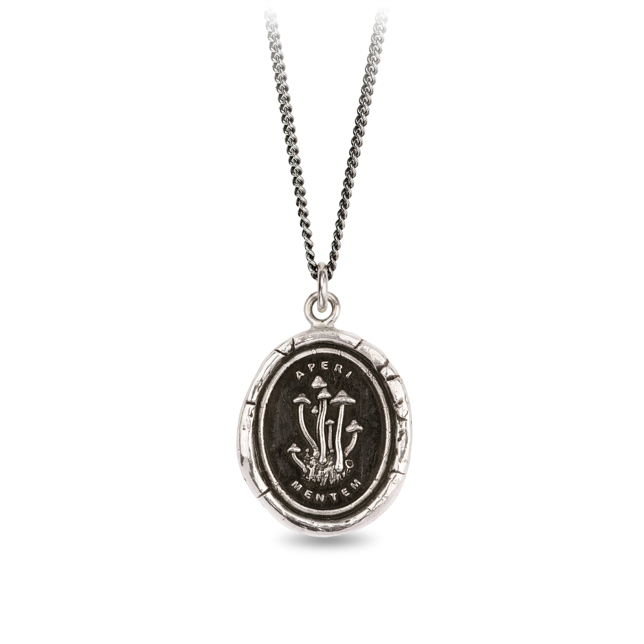 Pyrrha Open Your Mind Talisman Necklace