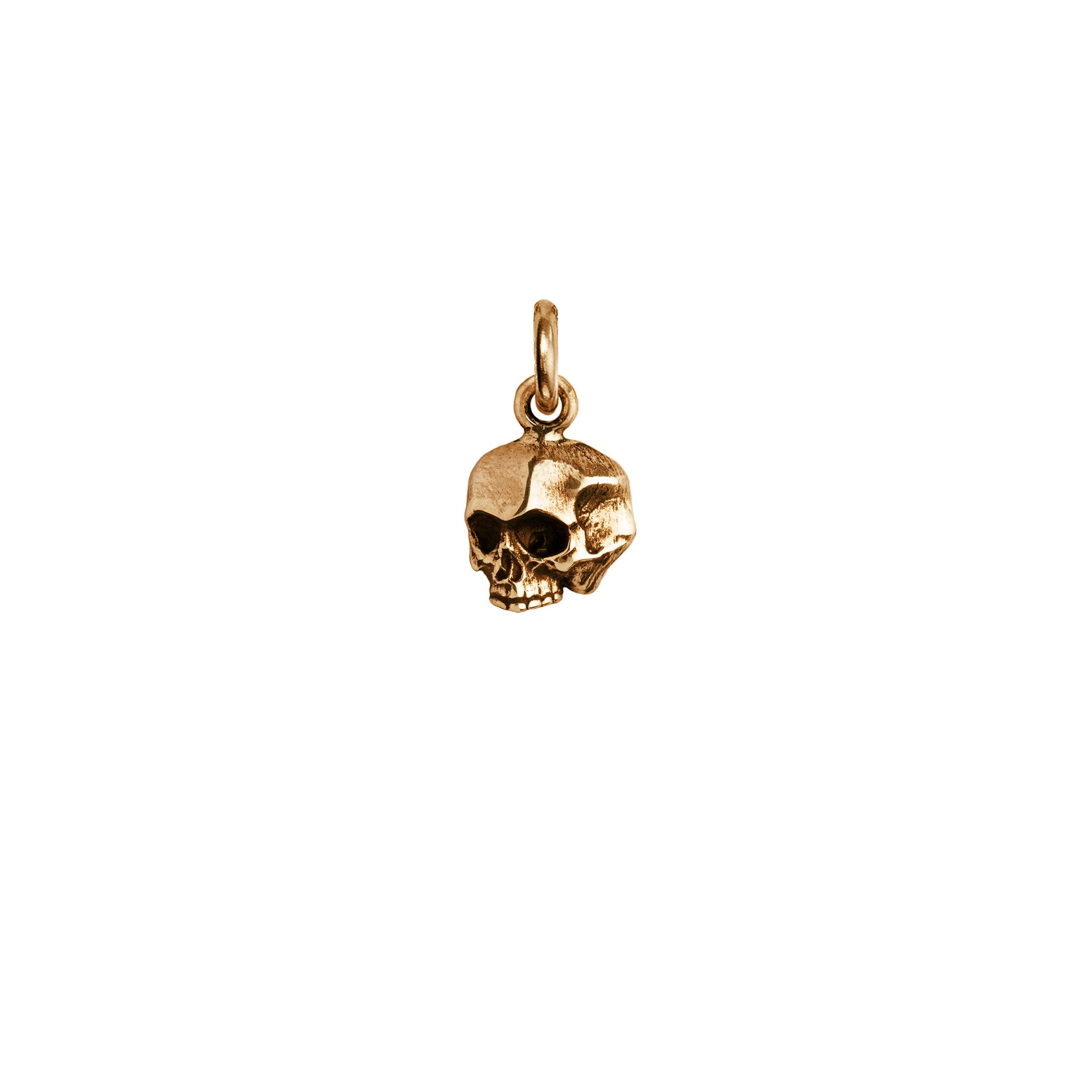 Skull Symbol Charm