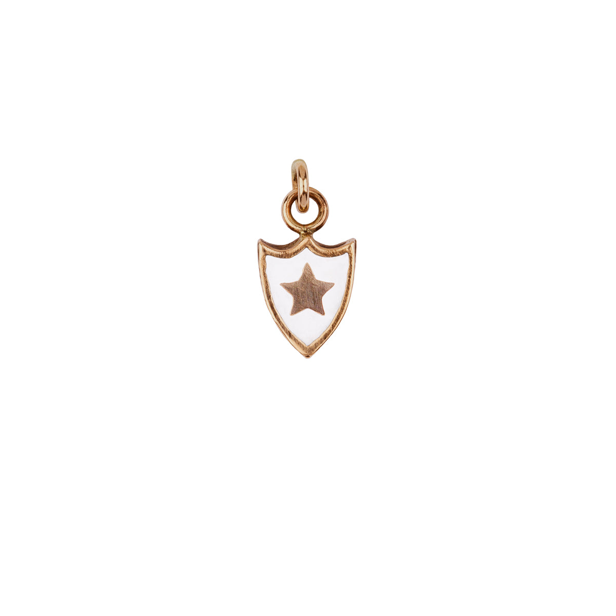 Goodness & Light Color Shield Charm