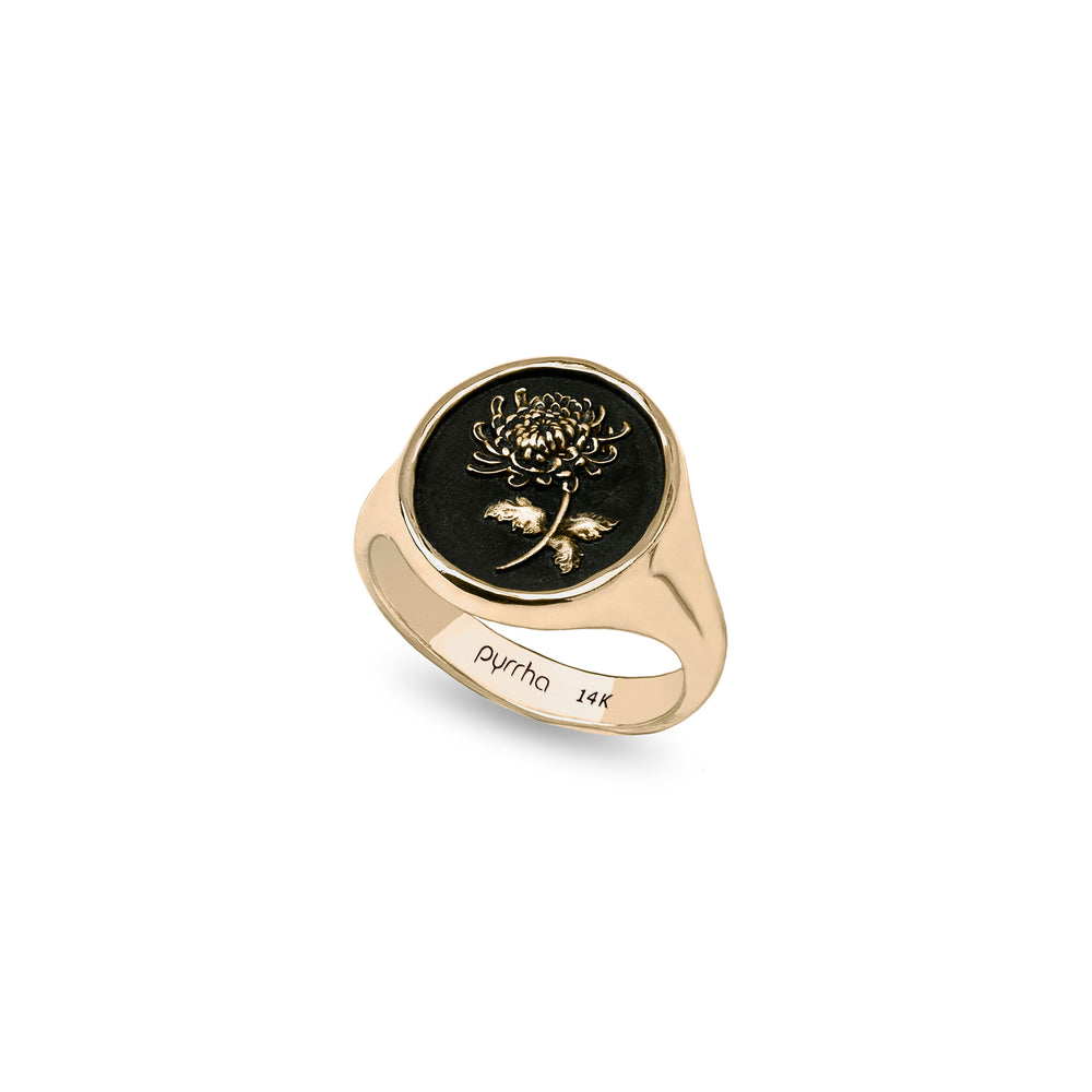 Healing Journey 14K Gold Signet Ring