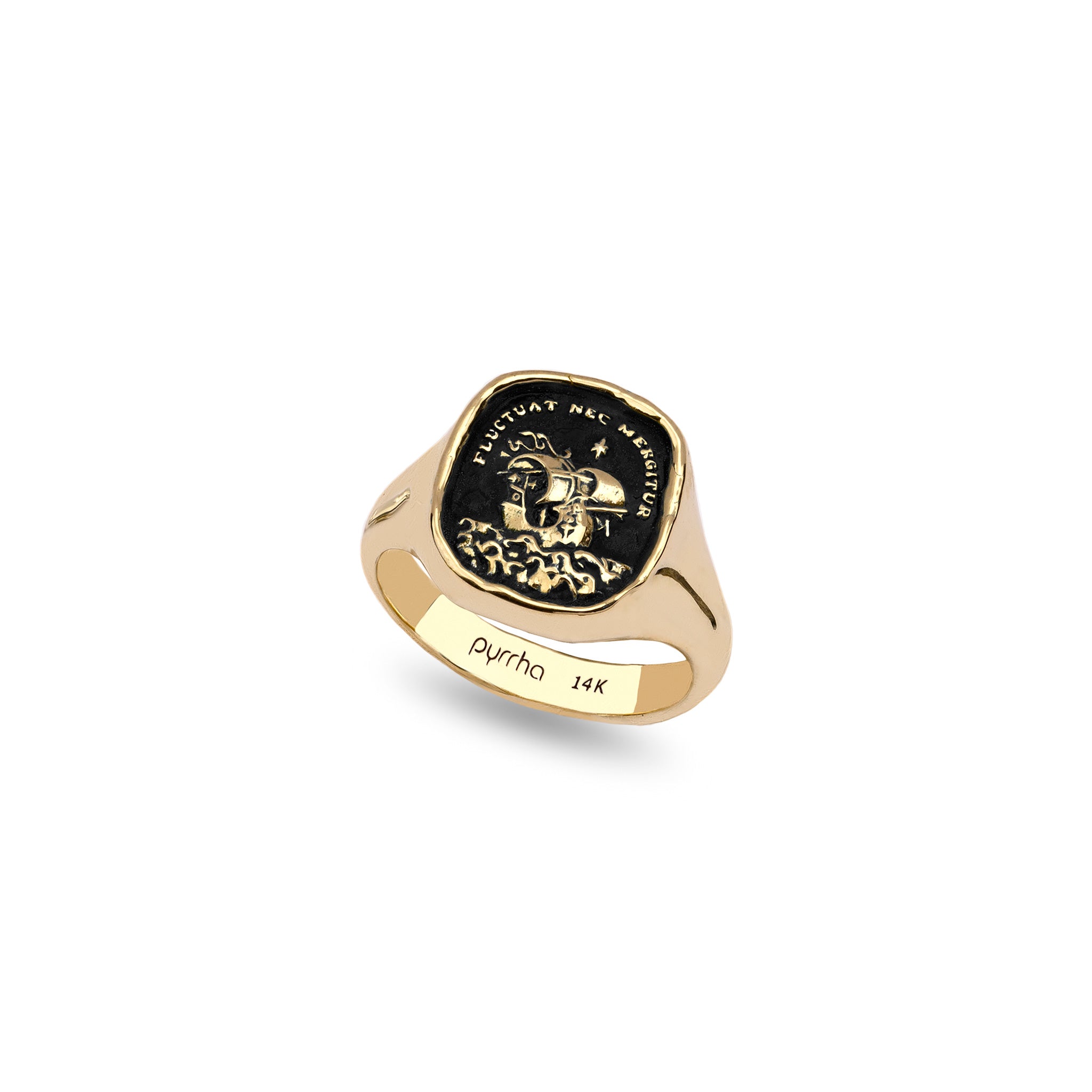 Strength & Resilience 14K Gold Signet Ring