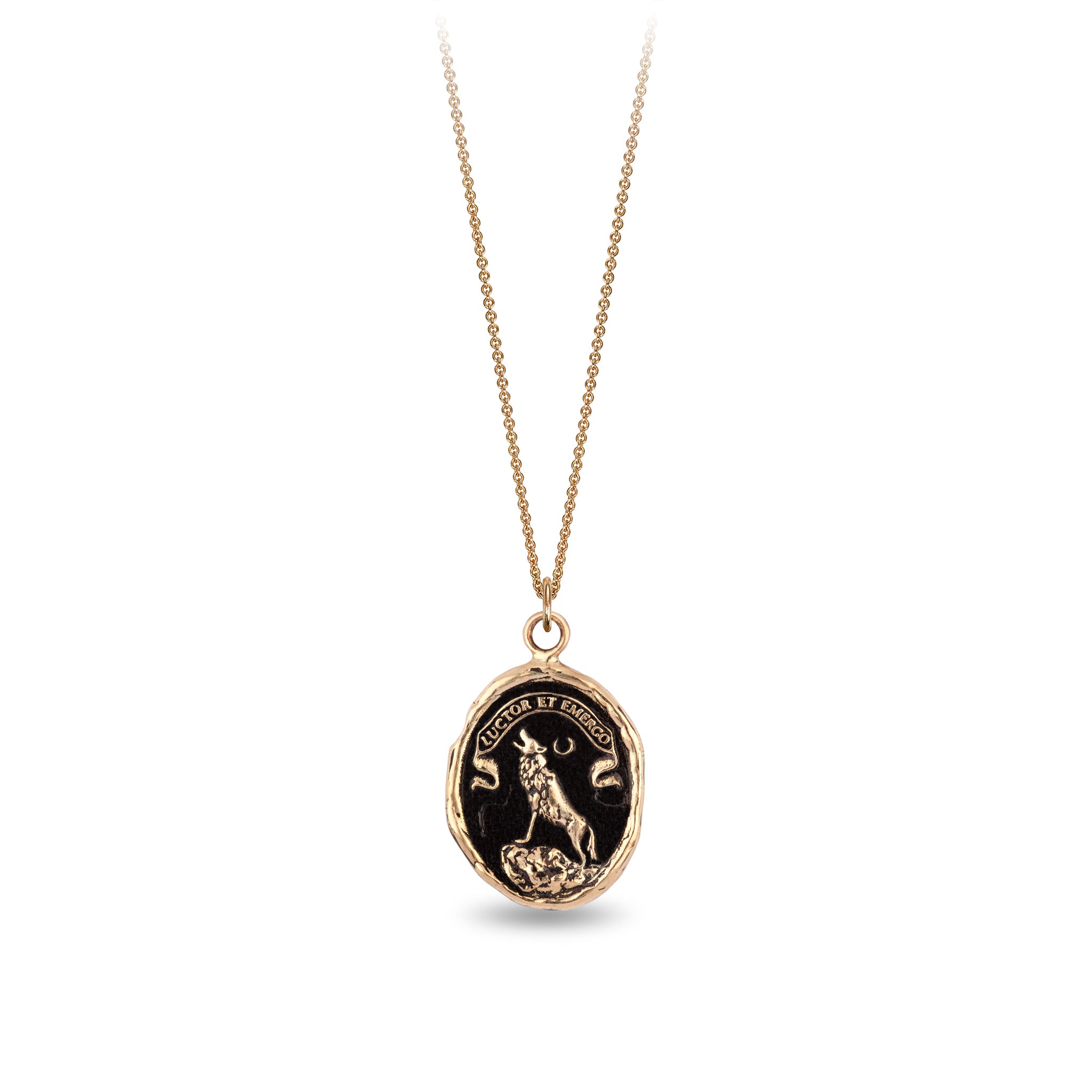 Struggle and Emerge 14K Gold Talisman