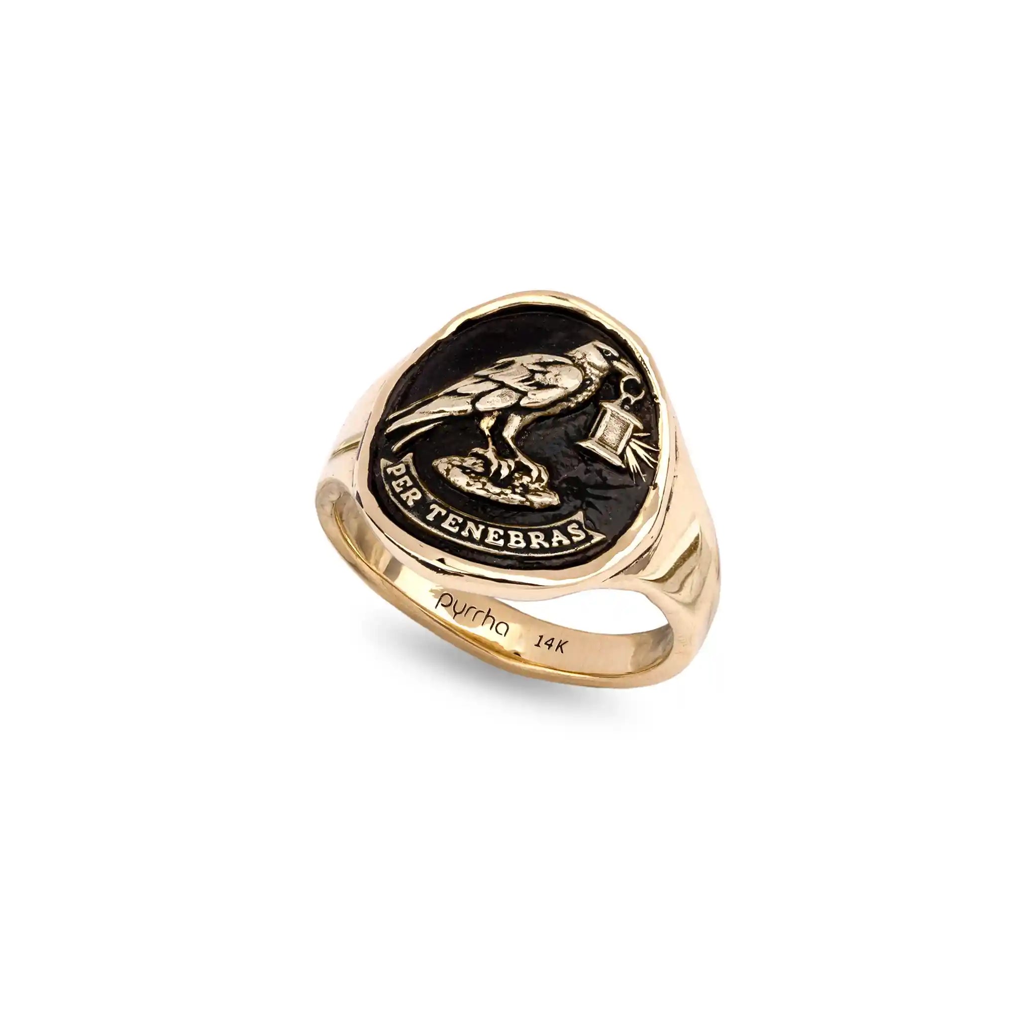 Through Darkness 14K Gold Cigar Band Ring