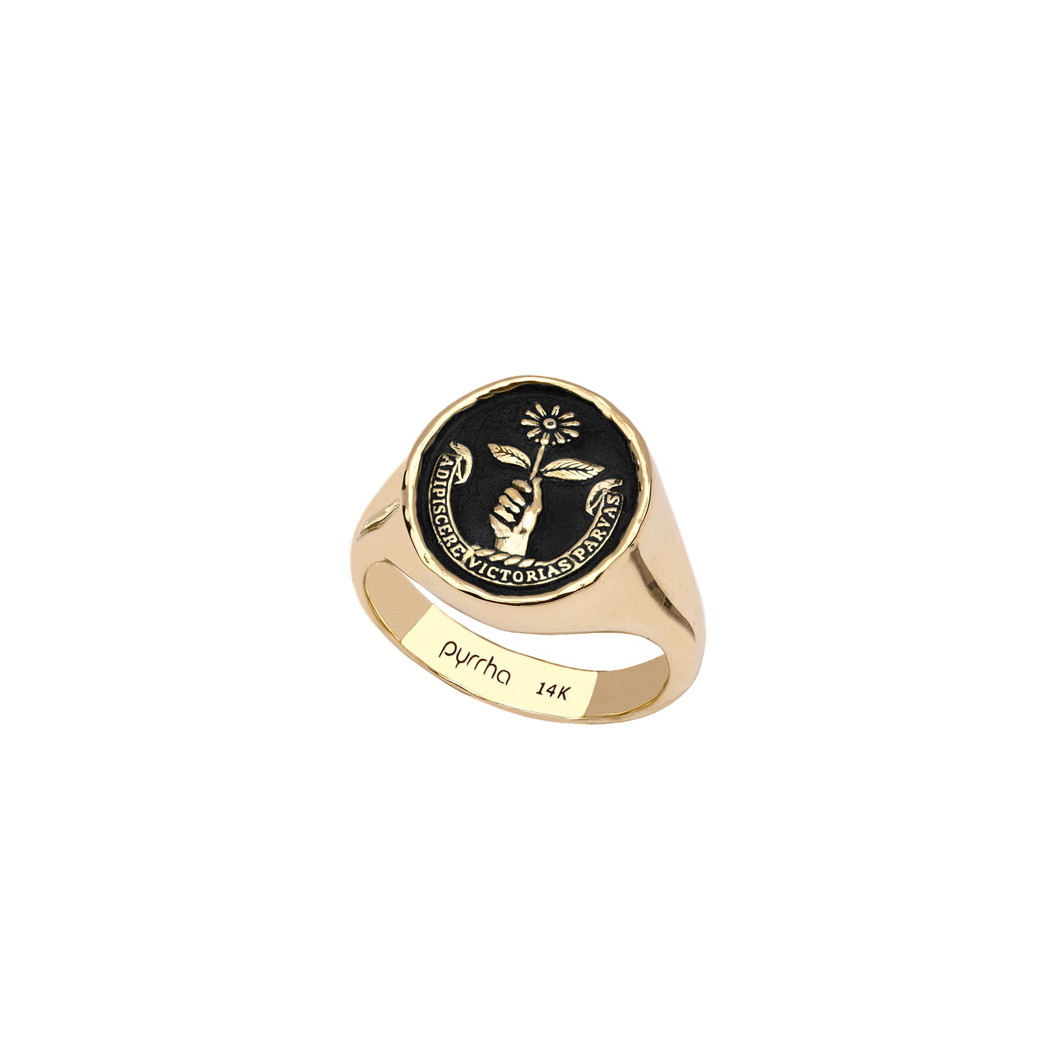 Tiny Victories 14K Gold Signet Ring