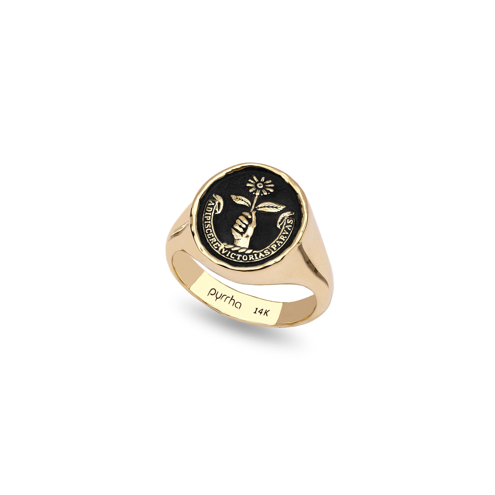 Tiny Victories 14K Gold Signet Ring