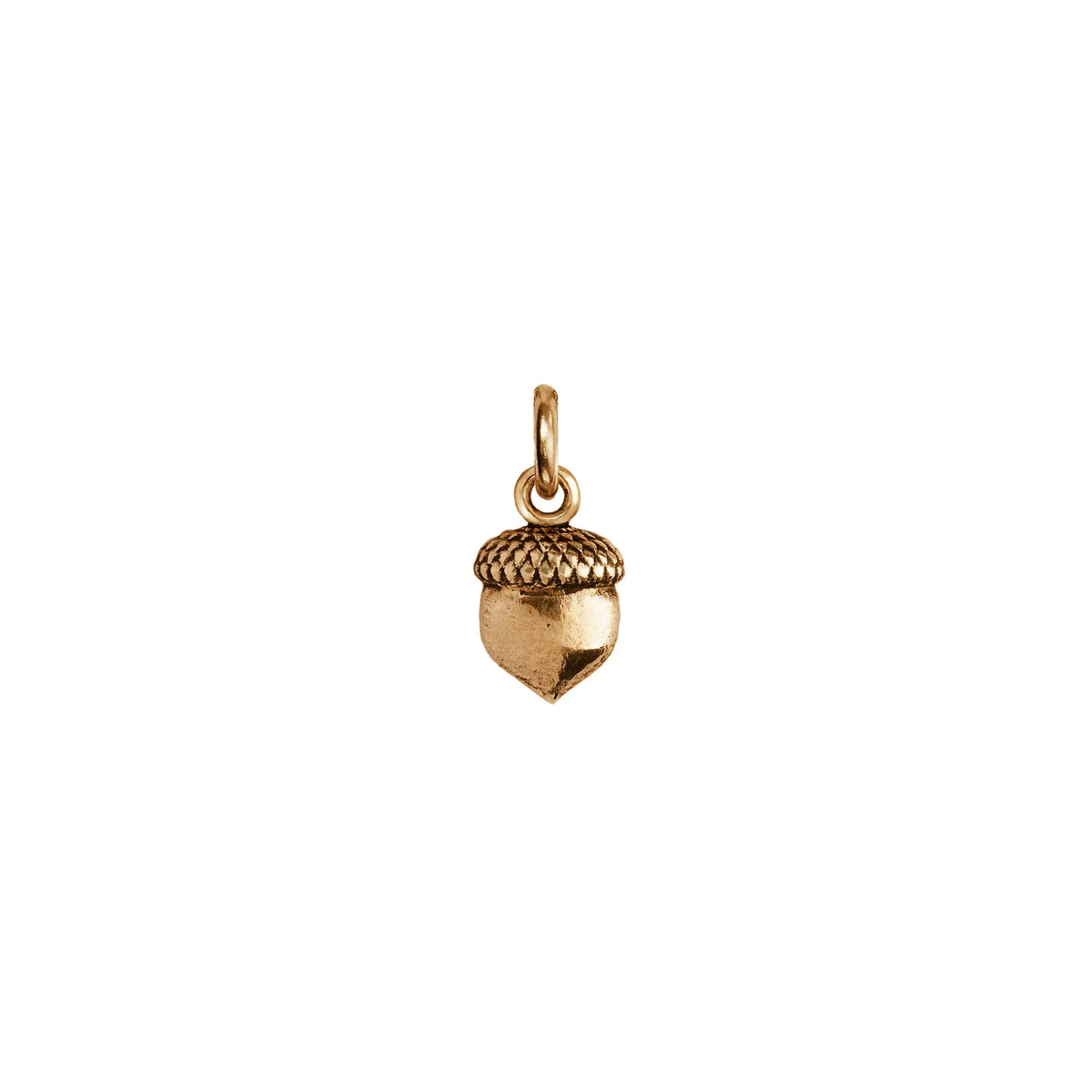 Acorn Symbol Charm - Bronze