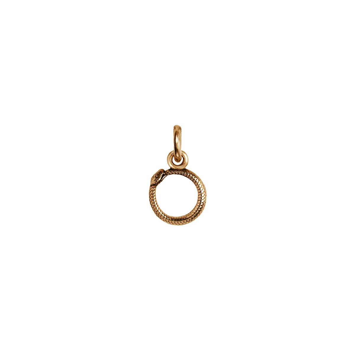 Ouroboros Symbol Charm - Bronze