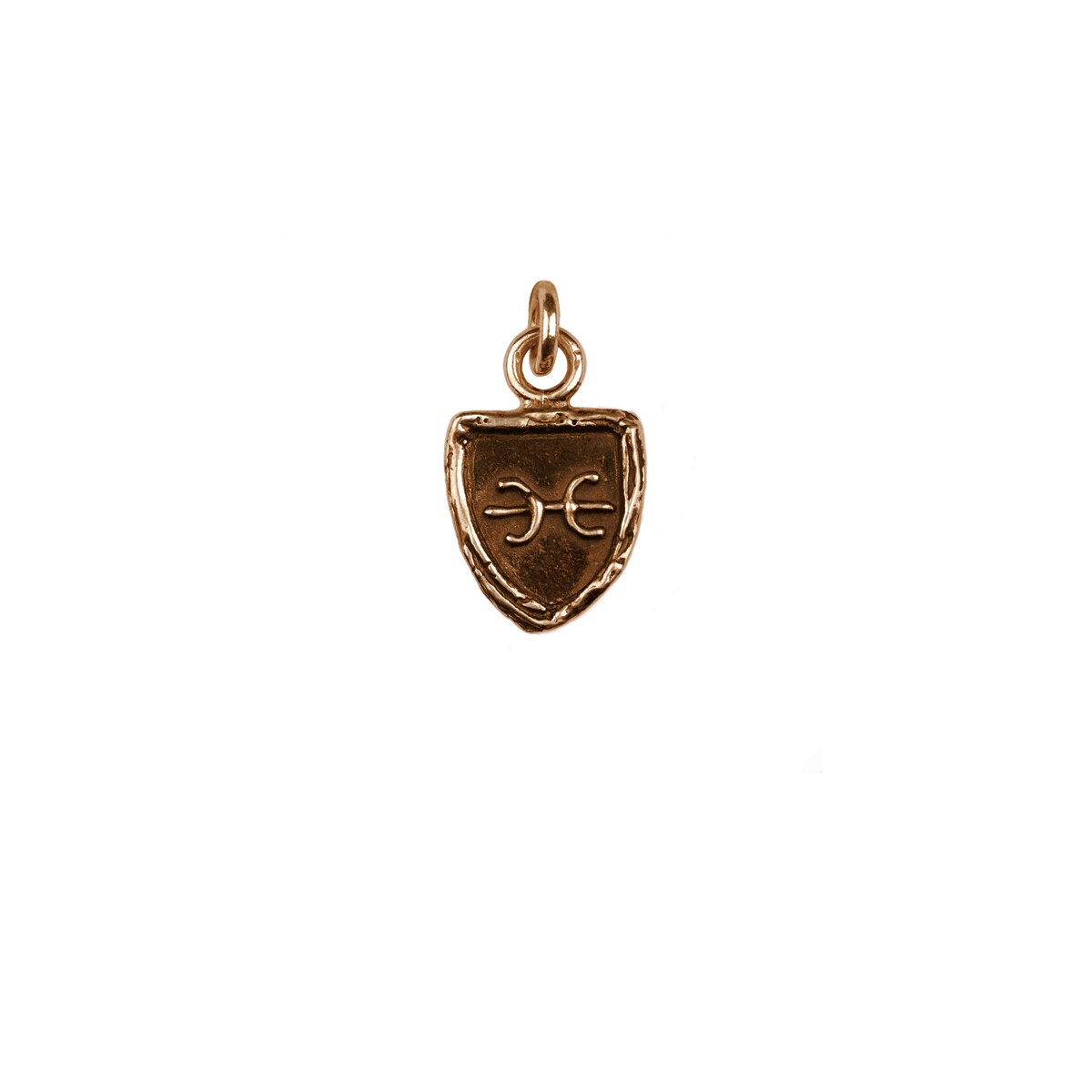Pisces Zodiac Charm