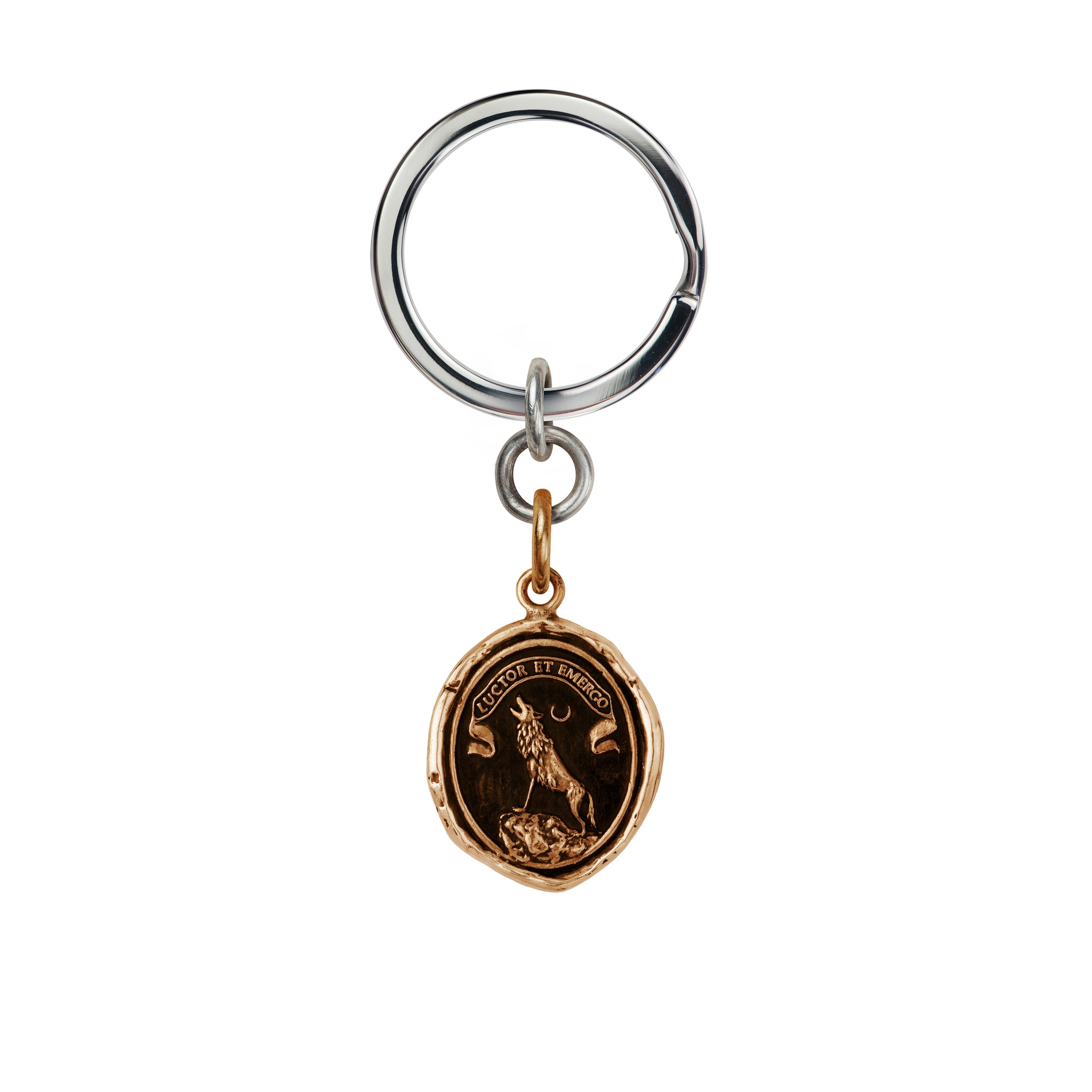 Struggle and Emerge Key Chain