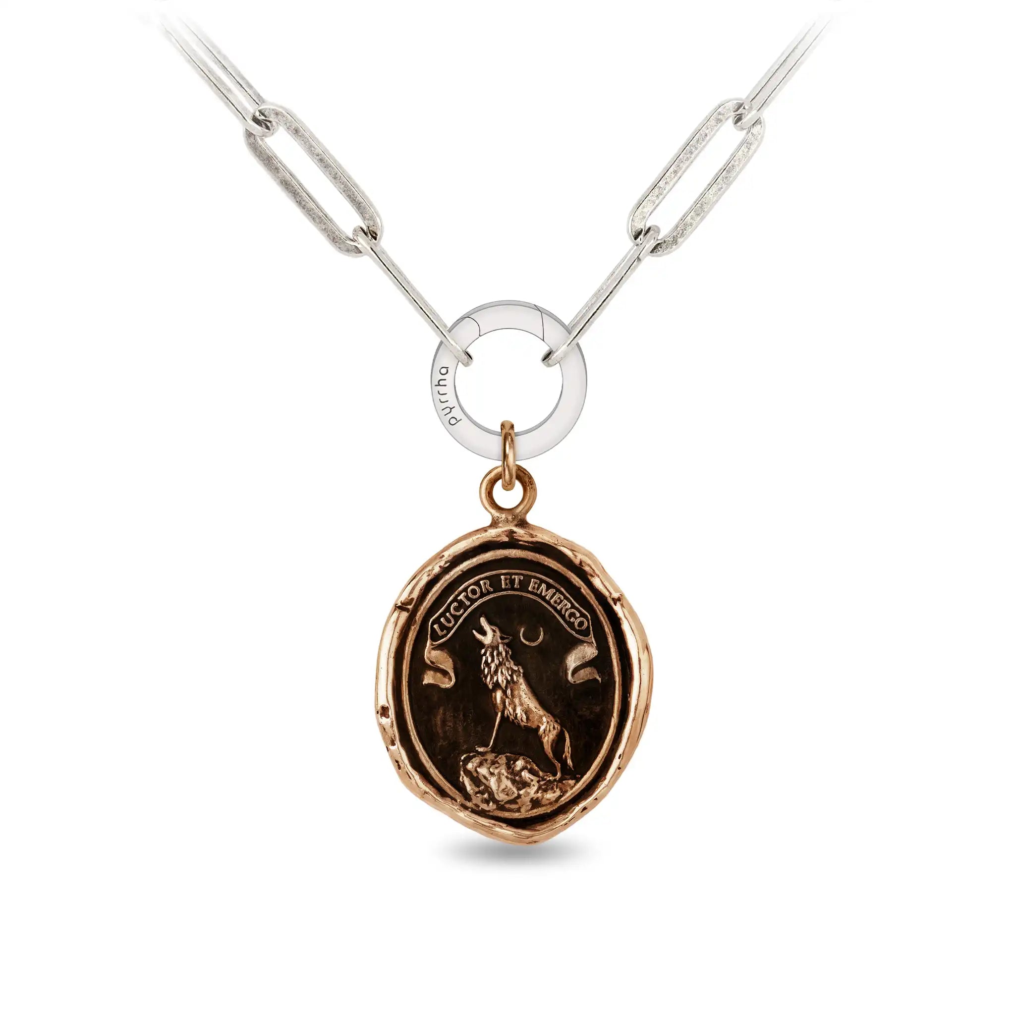 Struggle and Emerge - Bronze