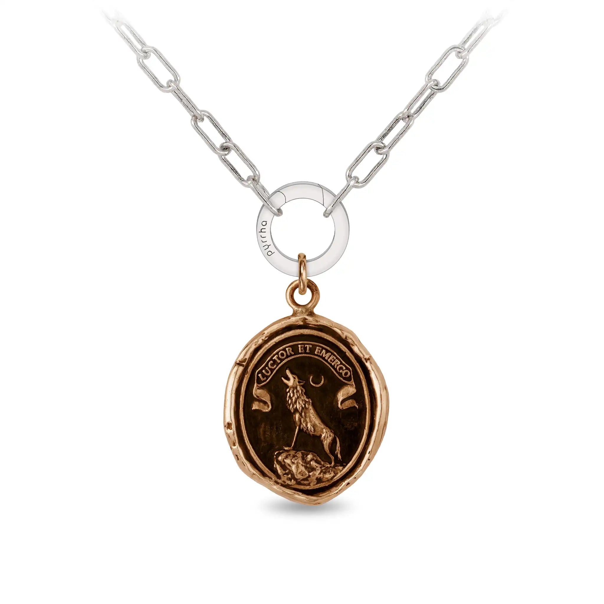 Struggle and Emerge - Bronze