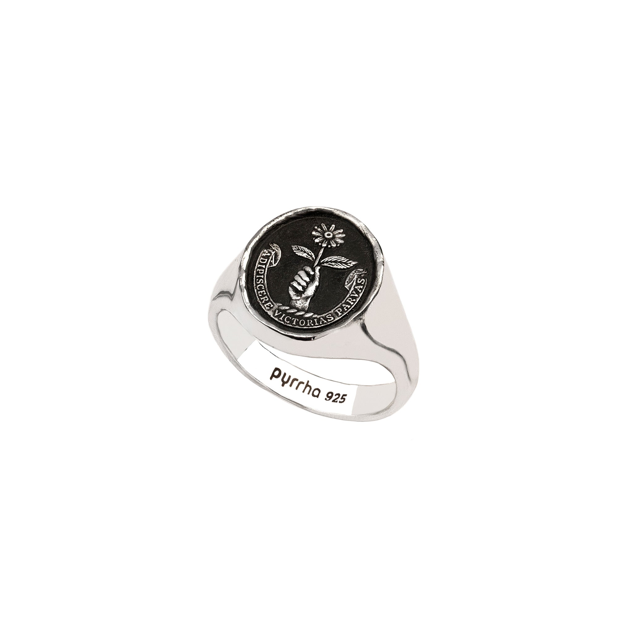 Tiny Victories Signet Ring