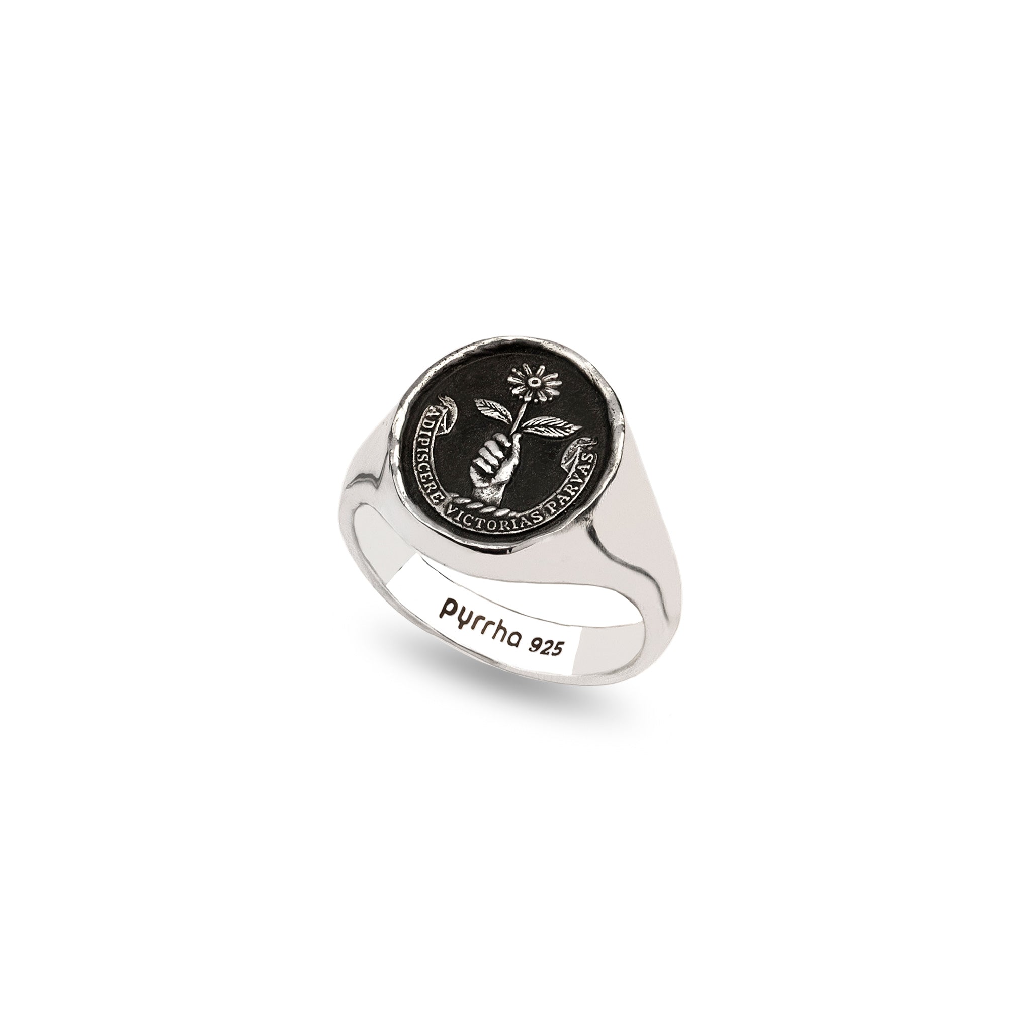 Tiny Victories Signet Ring