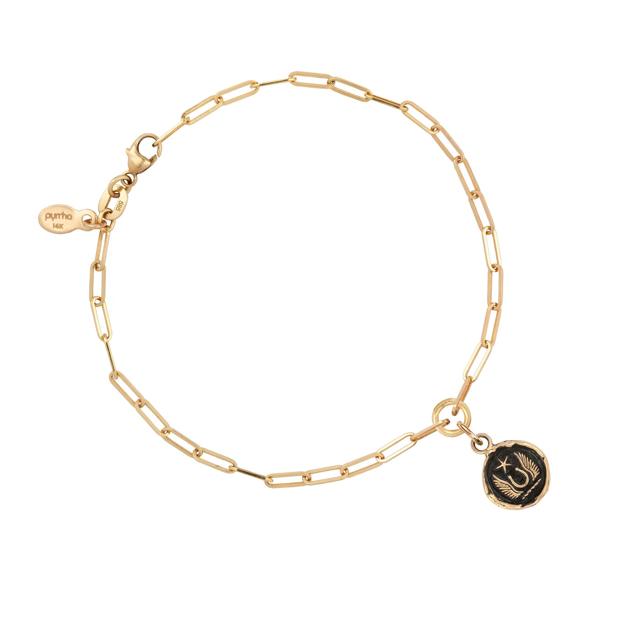 Luck & Protection 14K Gold Long Link Paperclip Chain Bracelet